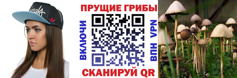 Галлюциногенные грибы GOLDEN TEACHER  гидра рабочий сайт  Тетюши 