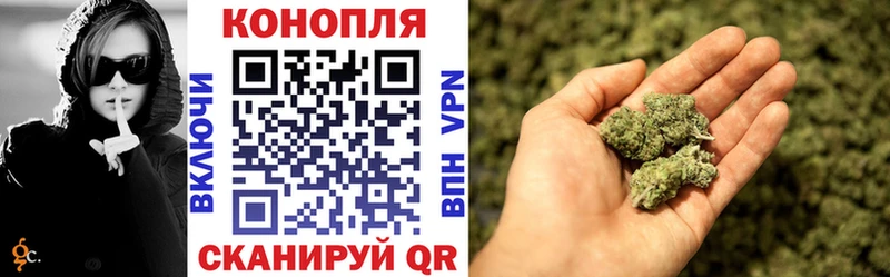 Шишки марихуана сатива Тетюши